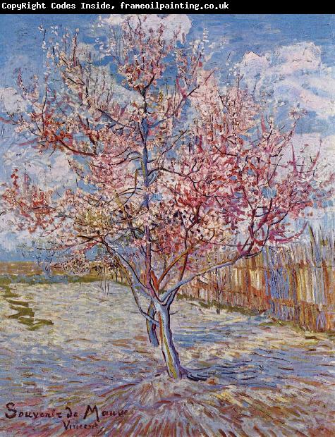 Vincent Van Gogh Flowering Orchards